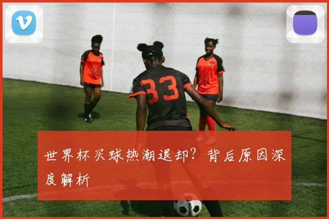 世界杯买球热潮退却?背后原因深度解析