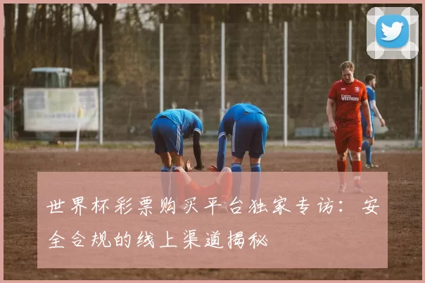 世界杯彩票购买平台独家专访：安全合规的线上渠道揭秘