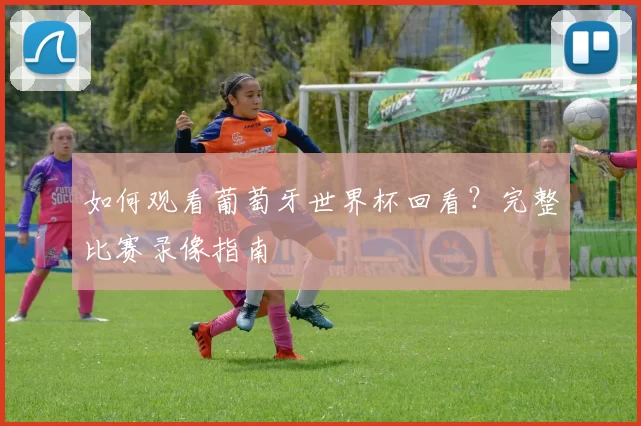 如何观看葡萄牙世界杯回看？完整比赛录像指南
