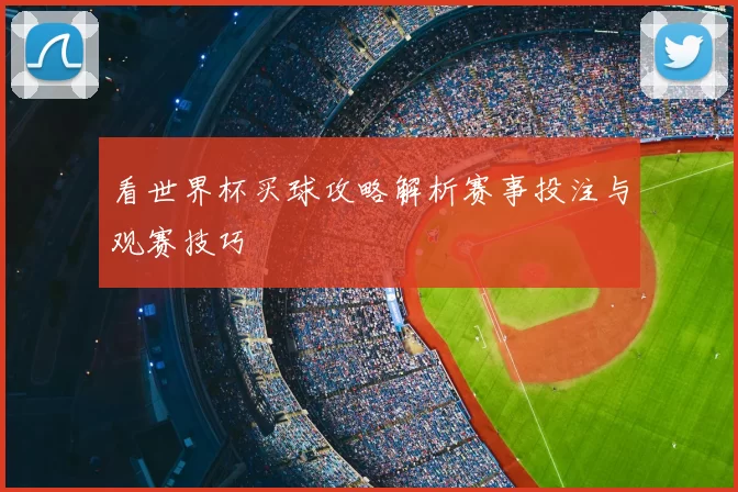 看世界杯买球攻略解析赛事投注与观赛技巧
