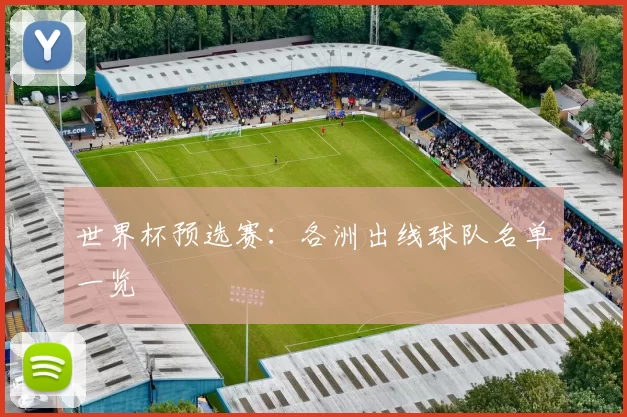 世界杯预选赛：各洲出线球队名单一览