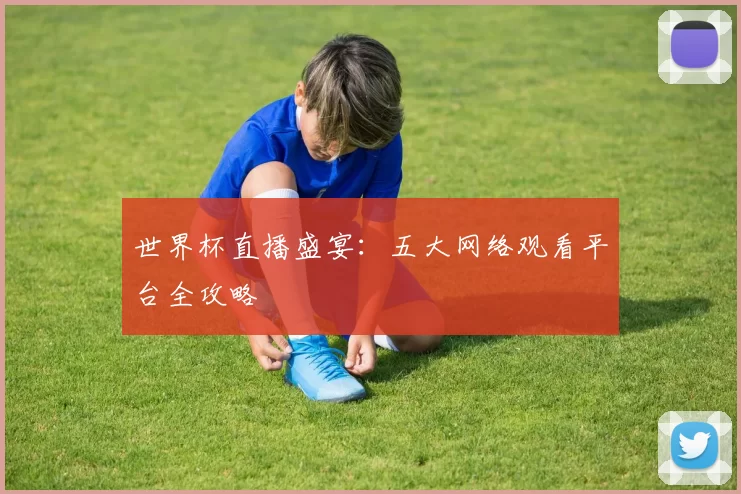 世界杯直播盛宴：五大网络观看平台全攻略
