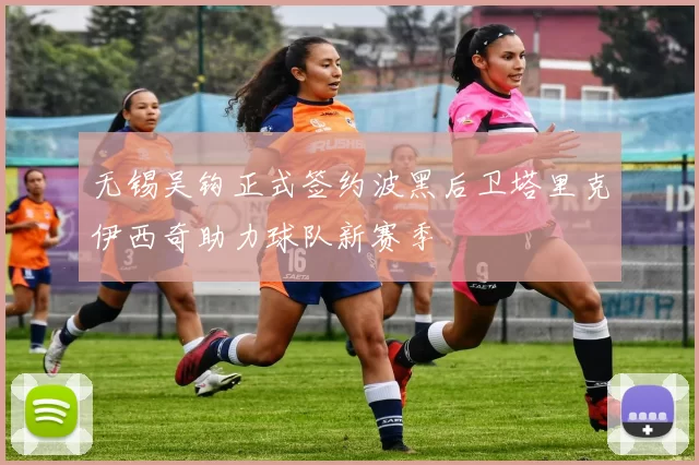 无锡吴钩正式签约波黑后卫塔里克伊西奇助力球队新赛季