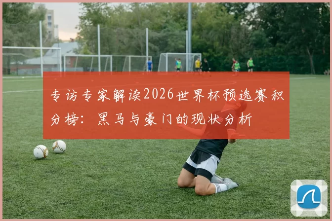 专访专家解读2026世界杯预选赛积分榜：黑马与豪门的现状分析