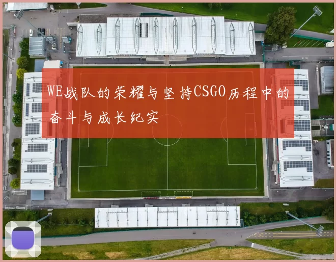WE战队的荣耀与坚持CSGO历程中的奋斗与成长纪实