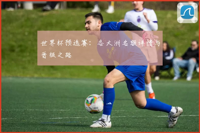 世界杯预选赛：各大洲名额详情与晋级之路