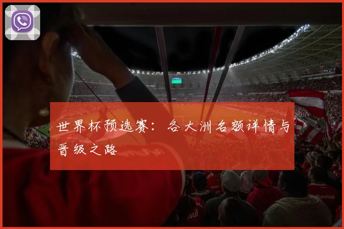 世界杯预选赛：各大洲名额详情与晋级之路